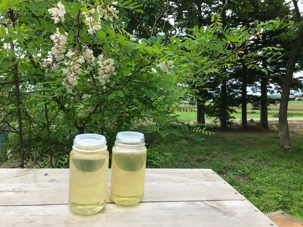 【北海道】あかしあはちみつ 200g~優しい香り~