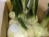 オトナの新たまホワイトオニオン【農薬不使用】（静岡県産）