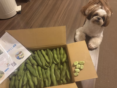 みんなの投稿の画像