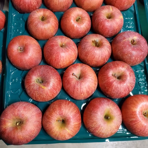 サンふじ秀品蜜チェック済み