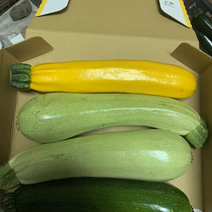 ⑧最安値！東京産！新鮮3色ズッキーニセット^ ^