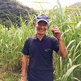 中田米城 | 加計呂麻島 タイケイ製糖