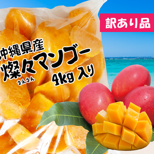 【沖縄県産】冷凍 燦々マンゴー（ハーフカット）【業務用・無添加・保存料不使用】