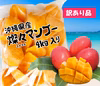 【沖縄県産】冷凍 燦々マンゴー（ハーフカット）【業務用・無添加・保存料不使用】