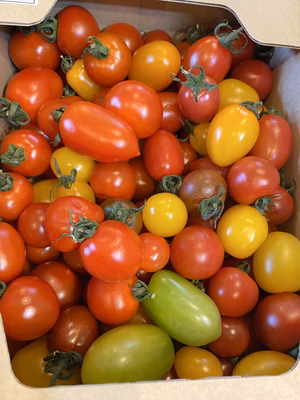 みんなの投稿の画像