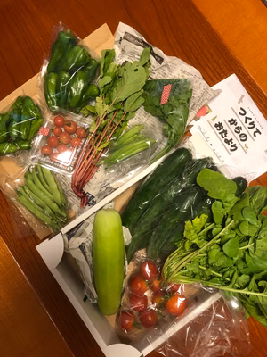 みんなの投稿の画像