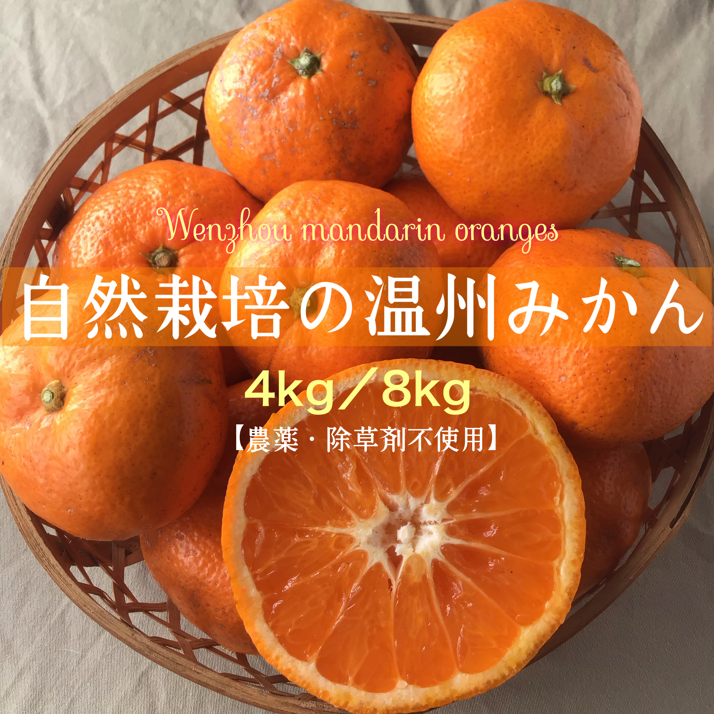 ④柚子 みかん 無農薬 期間栽培中不使用 家庭菜園 果物 - 果物