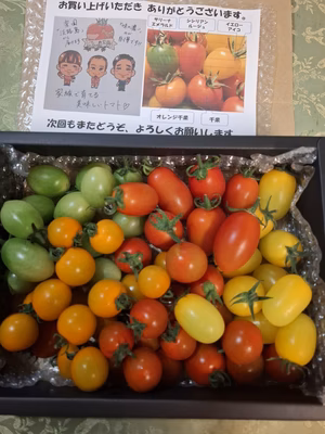 みんなの投稿の画像