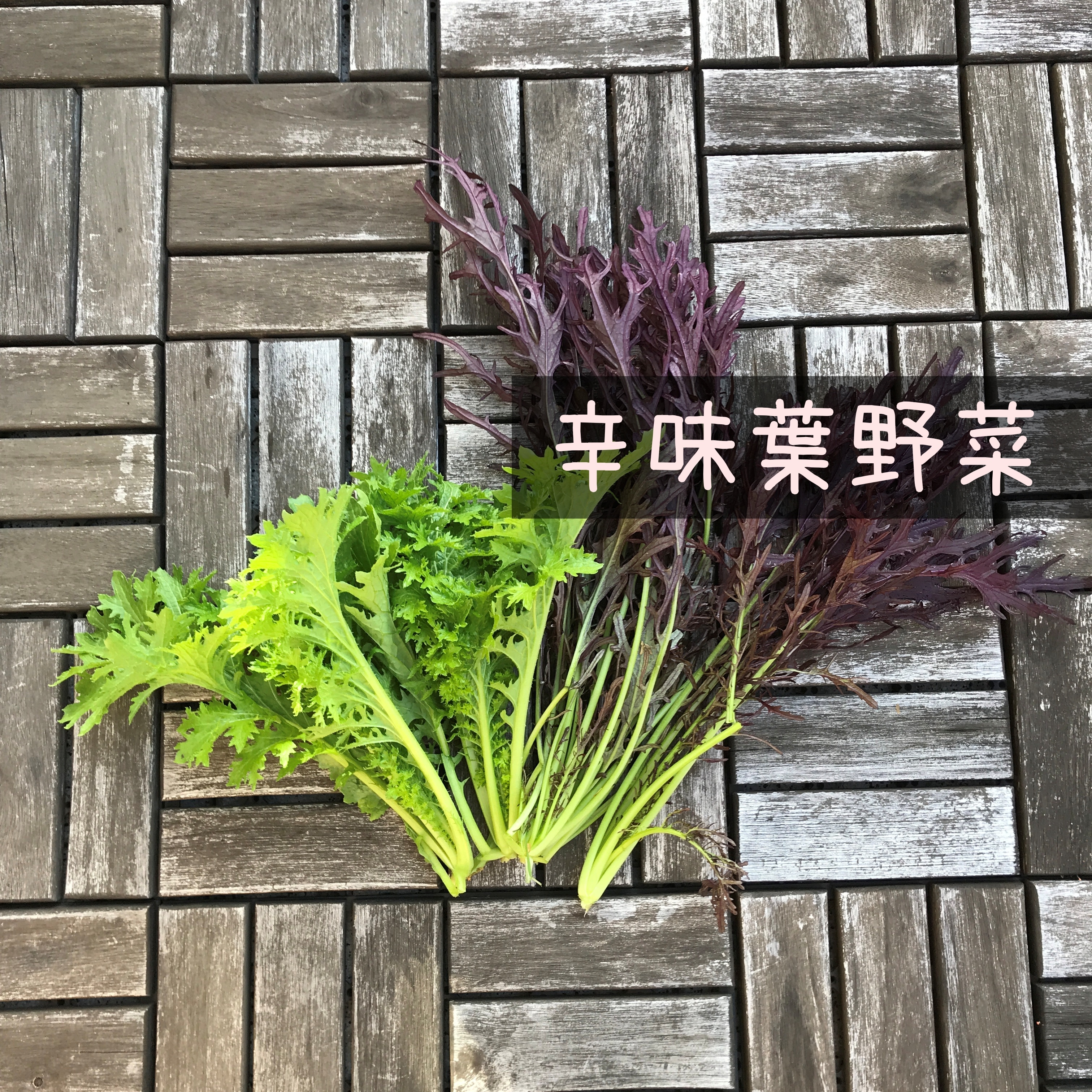 自然栽培 辛味葉野菜セット からし菜 わさび菜 農薬 肥料不使用 サラダなど 農家漁師から産地直送の通販 ポケットマルシェ