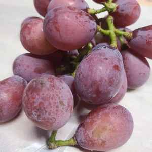 朝採り発送✩長野県産 クインニーナ約１. 5Kg 分の切り房 詰め合わせ