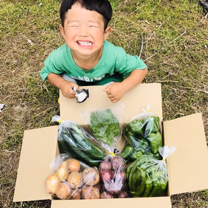 すべて農薬不使用の旬の5品目セット✨毎日売り切れの為【数量限定】 自然栽培