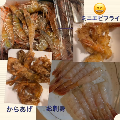 みんなの投稿の画像