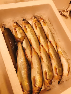 みんなの投稿の画像