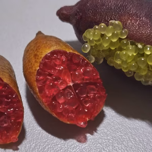 八幡浜キャビアライム家庭用50g