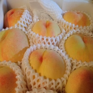 甘くてジューシーな桃「紅清水」（常温便）