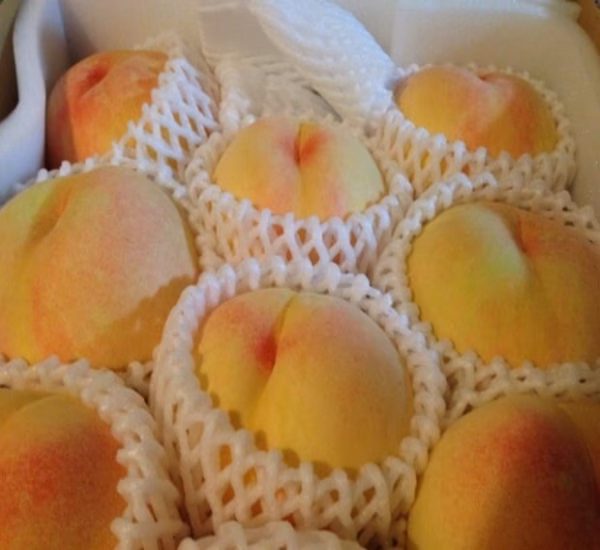 甘くてジューシーな桃「紅清水」(クール便）