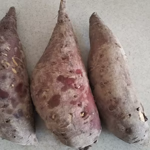 香川県産　シルクスイート 10kg さつまいも 特大 サイズ