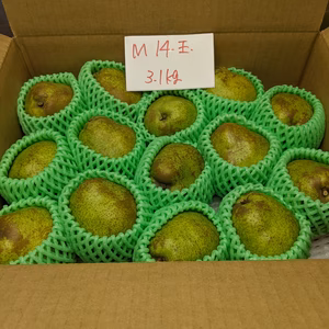 ラ・フランス14玉