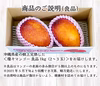 【樹上完熟】燦々マンゴー（沖縄県産）　良品1kg