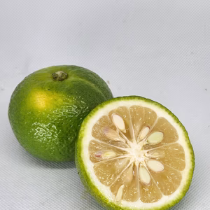 幻の柑橘 　直七