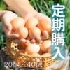 北海道ハッピープレイス　放し飼いコッコちゃんのハッピーたまご（定期購入）