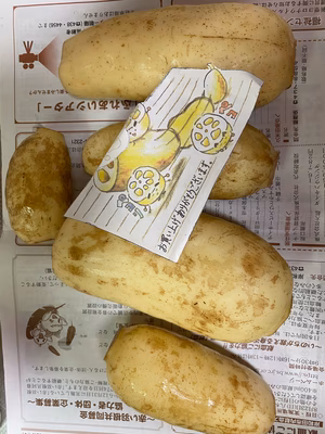 みんなの投稿の画像