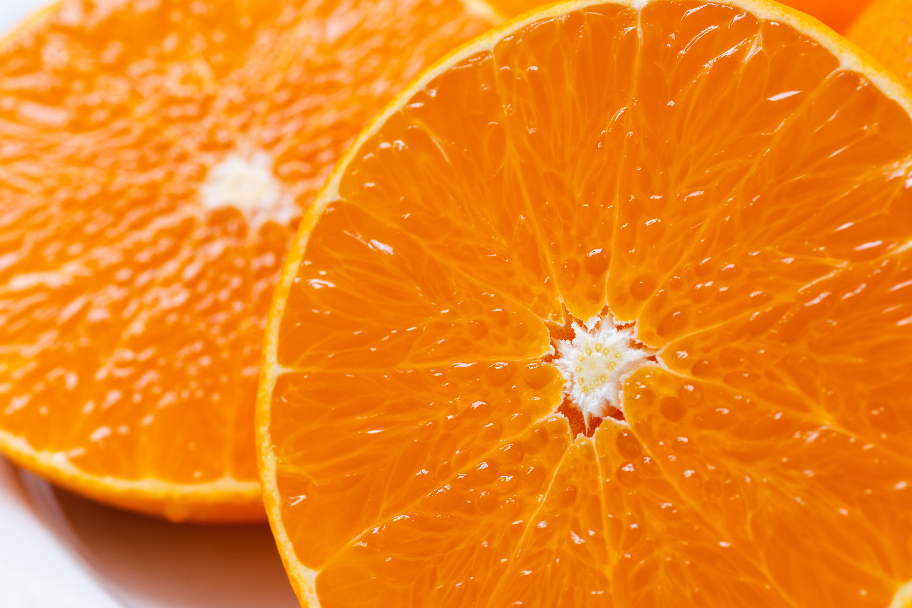 超人気❗️】まどんな（ご家庭用）※12月発送開始｜みかんの商品