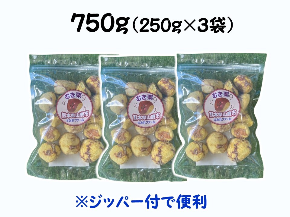 ほっこり甘さ凝縮！『冷凍粗むき栗』山鹿和栗７５０ｇ（250ｇ×３袋）箱入り｜くり の商品詳細｜ポケットマルシェ｜産地直送で旬の食材が生産者(農家・漁師)から届く