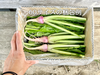 信州産 [レシピ付] 漬物以外もアレンジ自在！春の野沢菜