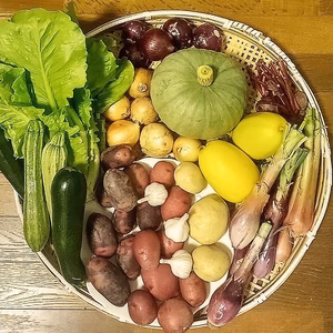 開けてびっくり６月の夏野菜ボリュームセット