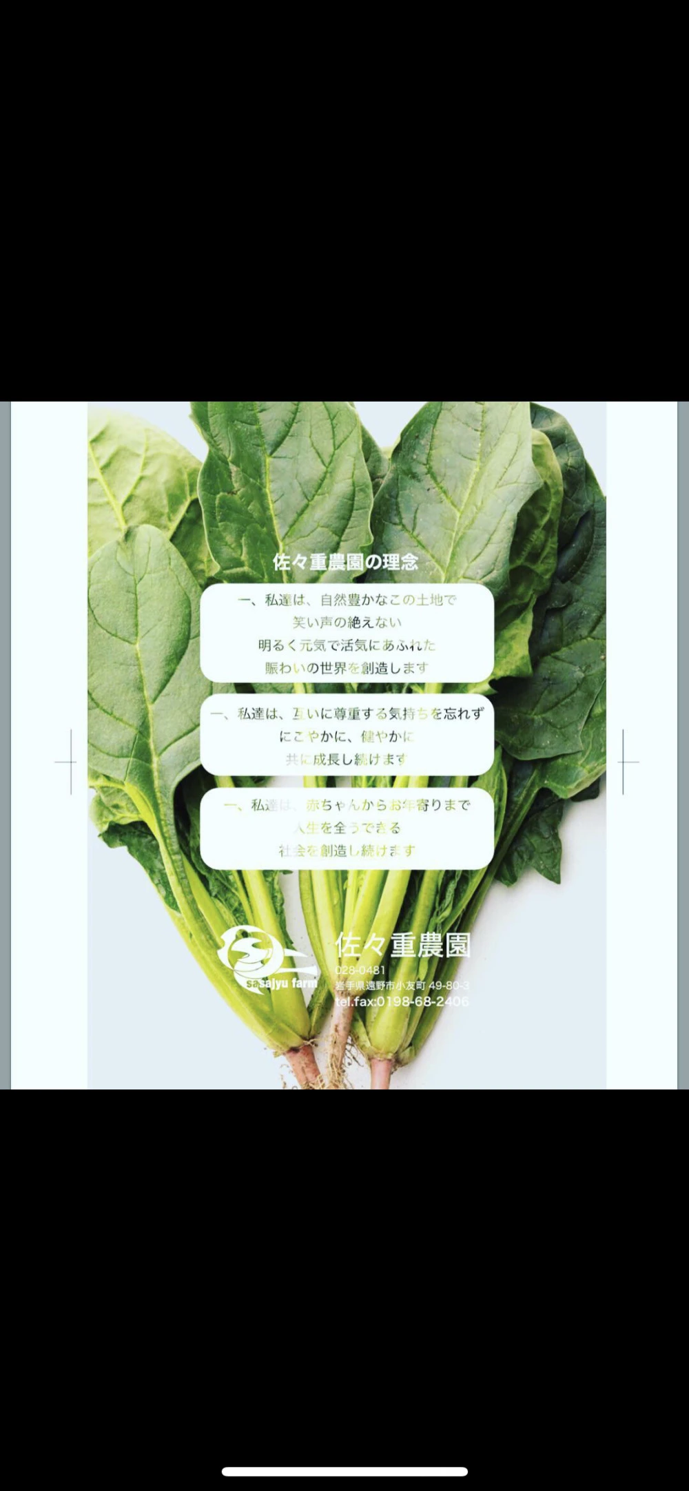 お山のぽくぽく有機JASほうれん草