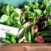 モロヘイヤ1Kg ➕　夏野菜1袋　野菜BOX 農薬.化学肥料不使用