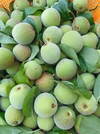 青梅　肥料農薬不使用　