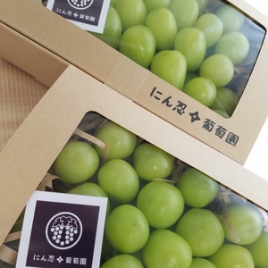 白丸BOX　二箱 約1200g　葡萄　ぶどう　粒ぶどう　お中元　ご褒美　贈答用