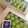 白丸BOX　二箱 約1200g　葡萄　ぶどう　粒ぶどう　お中元　ご褒美　贈答用