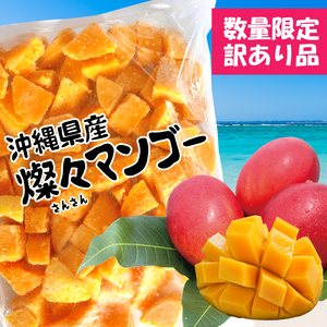 訳あり【沖縄県産】冷凍 燦々マンゴー(ダイスカット)【無添加・保存料不使用】