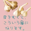 北海道壮瞥町　有機農場から　優しい味わいオーガニックにんにく　土つき