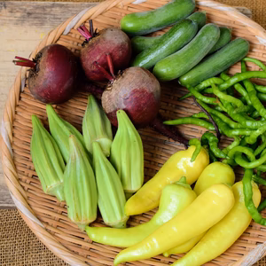 多品目栽培農家のユニーク旬野菜つめあわせセット