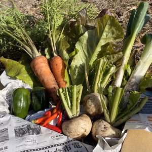 秋の旬野菜あれこれBOX