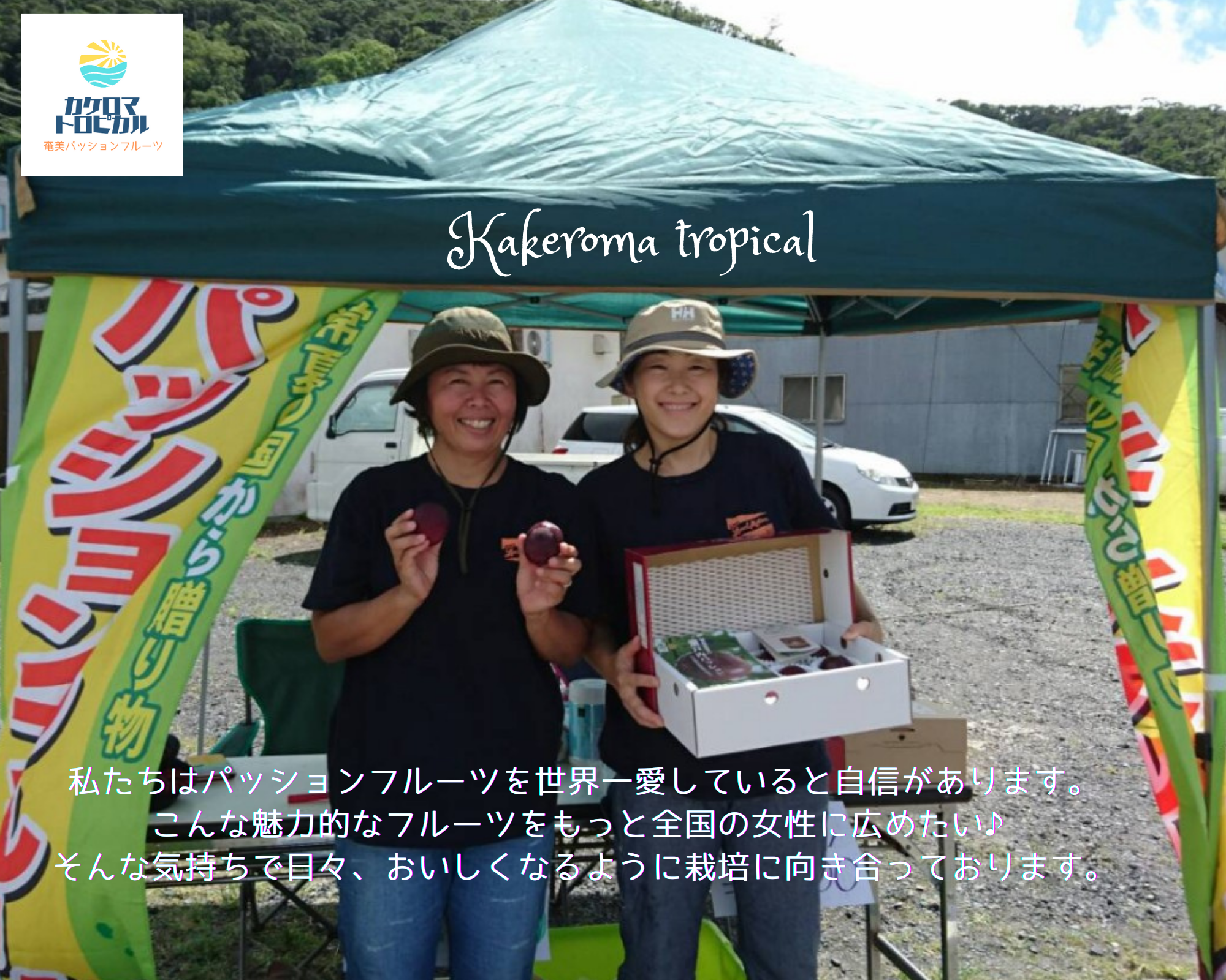 本当に加工用!!《6月発送 》パッションフルーツ3kg | 農家漁師から産地直送の通販 ポケットマルシェ 本当に加工用!!《6月発送 》パッションフルーツ3kg | 農家漁師から産地直送の通販 ポケットマルシェ