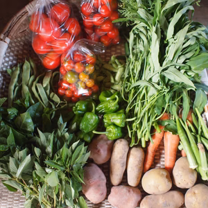 野菜セット