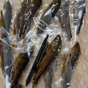 2尾13セット限定‼️訳あり　地下水育ち　無添加　子持鮎甘露煮