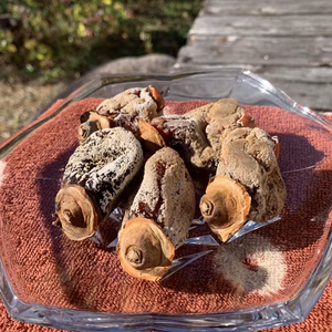 【レシピ付き】腸活に！おなかも喜ぶ！あま〜い干し柿〈無添加〉