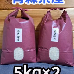 送料無料‼️令和6年青森県産あさゆき5kg×2
