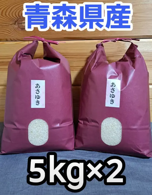 送料無料‼️令和5年青森県産あさゆき5kg×2