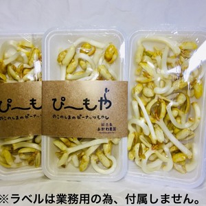 落花生の風味がそのまま！ピーナッツもやし