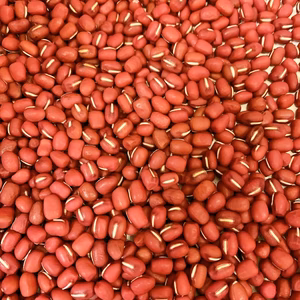 【令和元年度産】新豆　丹波大納言小豆　500g