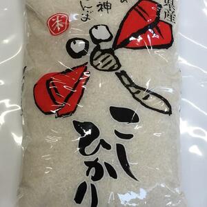 お米 令和 元年産 5kg コシヒカリ 白米 『赤とんぼ』エコ栽培米