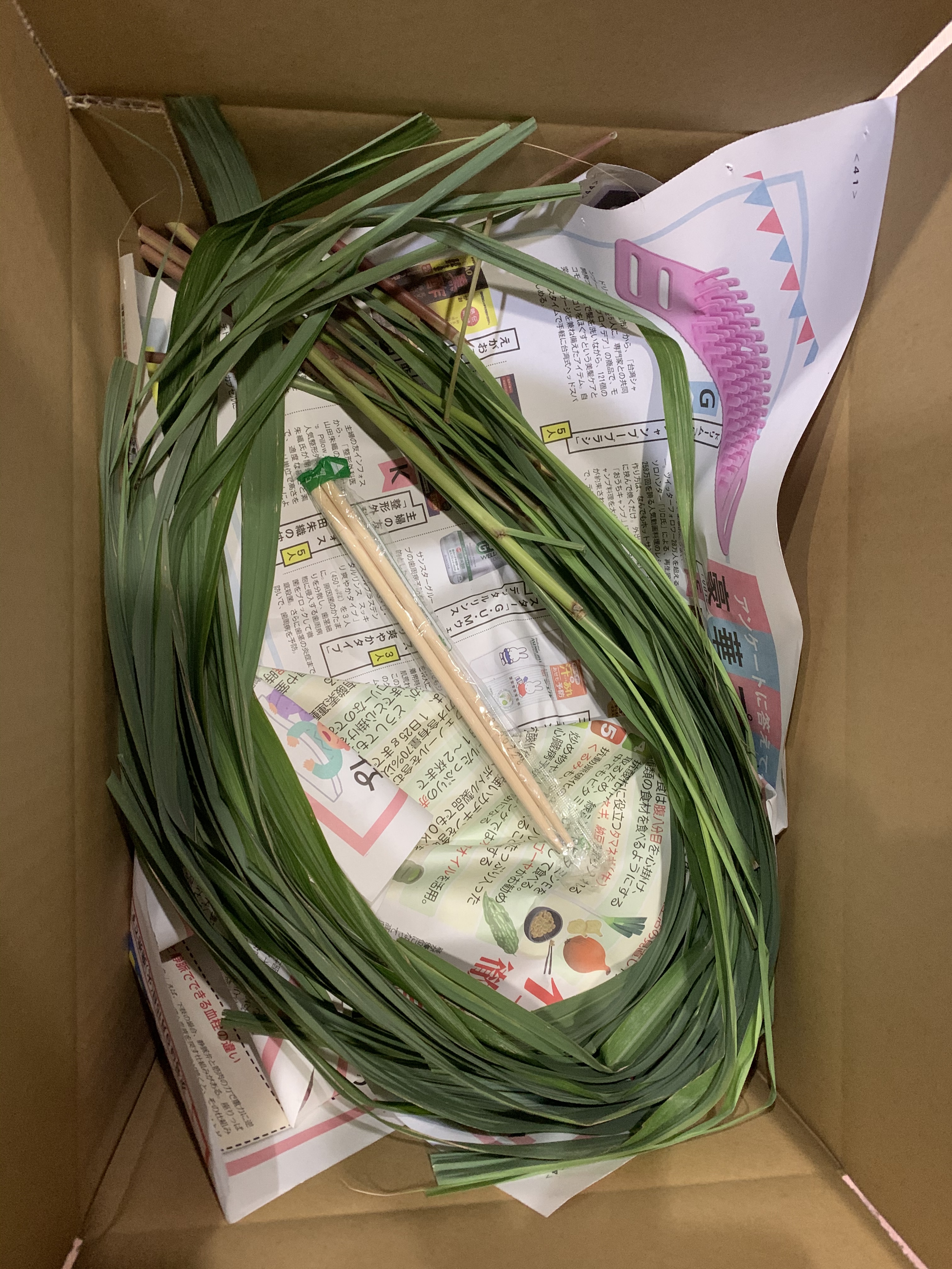 生レモングラス料理用お得5kg約 予約販売⭐︎生レモングラス 野菜 amiaricafe 通販 14526392