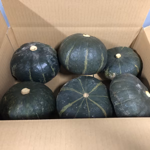 【訳あり】小さいけどホクホクかぼちゃ　楽ほく丸　約4kg